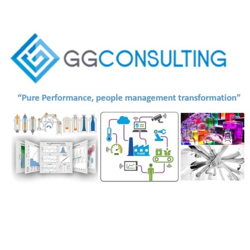 GG Consulting Services for Glassmaking Process